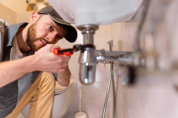 Best Clogged Drain Plumber  in Cathcart, WA